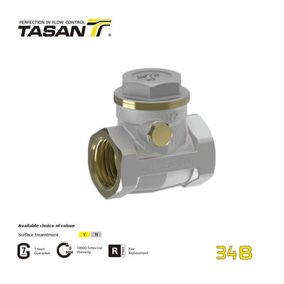 ISO228 Threads 1 Inch Brass Swing Check Valve Female X Female Sealing Sangat Baik